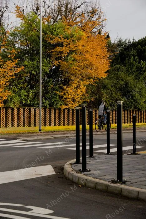 Autumn Crossing