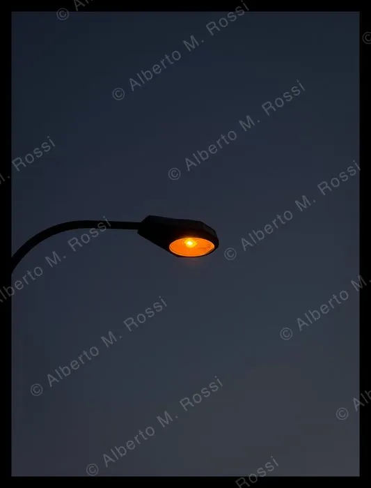 Orange Lamp